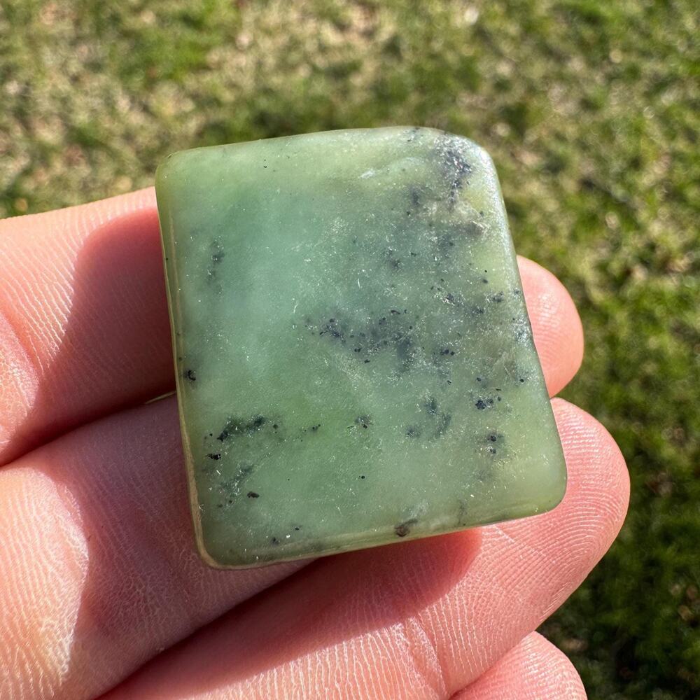 Canadian Jade Palm Stone Nephrite #13
